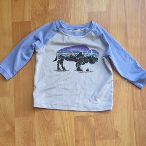 Patagonia Graphic Raglan Shirt - Purple and Gray